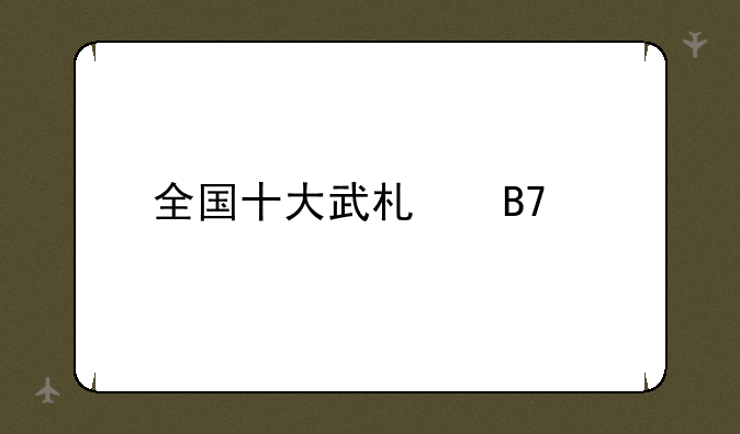 全国十大武术名校