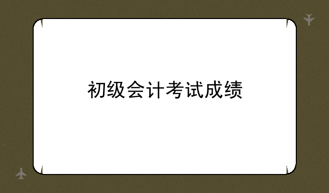 初级会计考试成绩