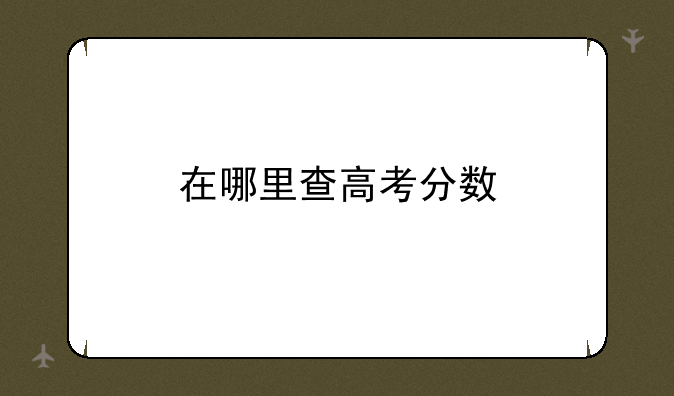 在哪里查高考分数