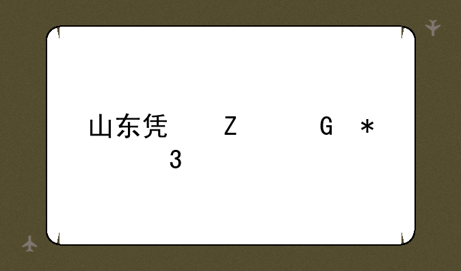 山东凯文科技职业