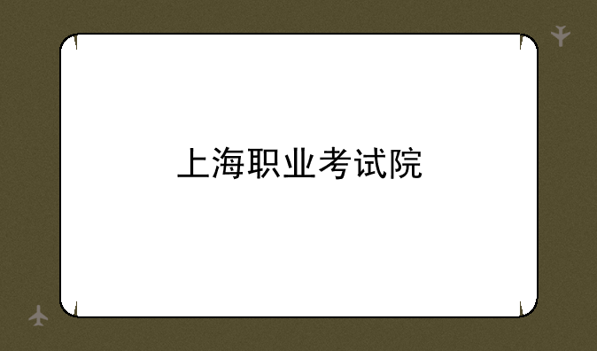 上海职业考试院