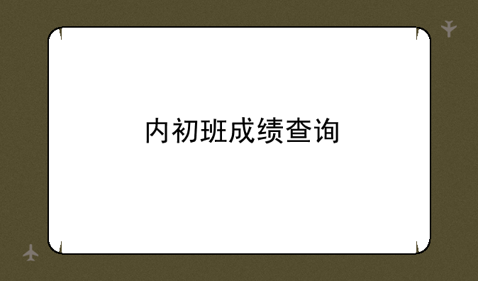 内初班成绩查询