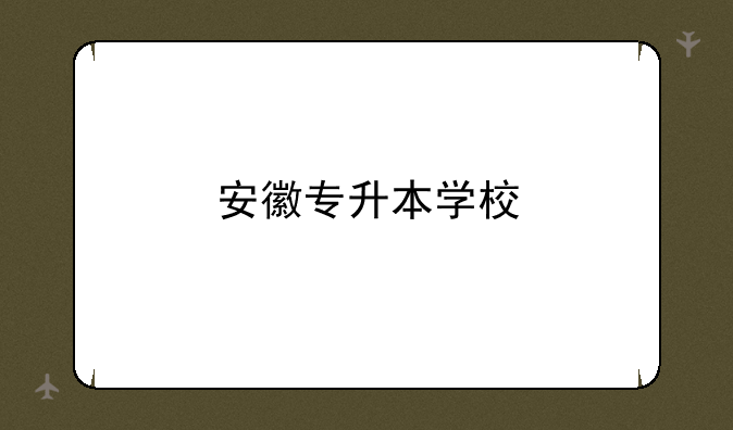 安徽专升本学校