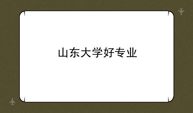 山东大学好专业