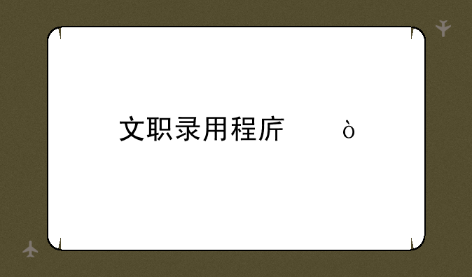文职录用程序？