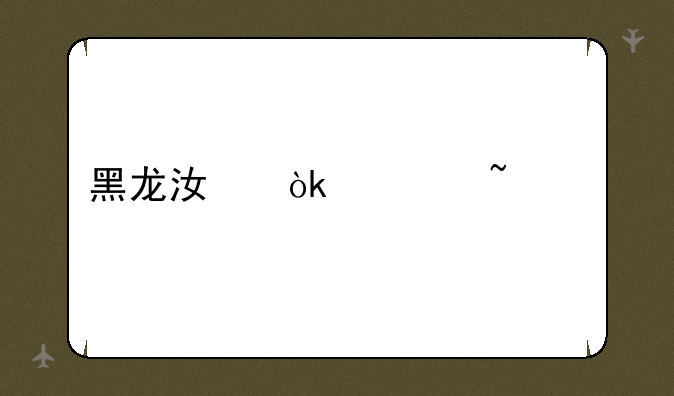 黑龙江会考查询
