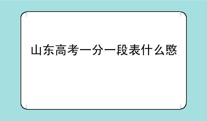 山东高考一分一段表什么意思