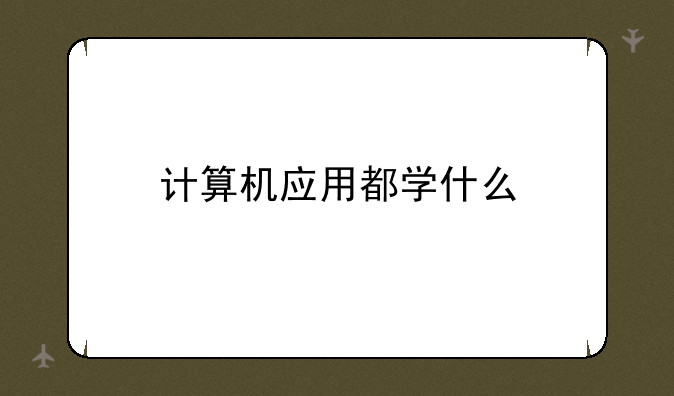 计算机应用都学什么