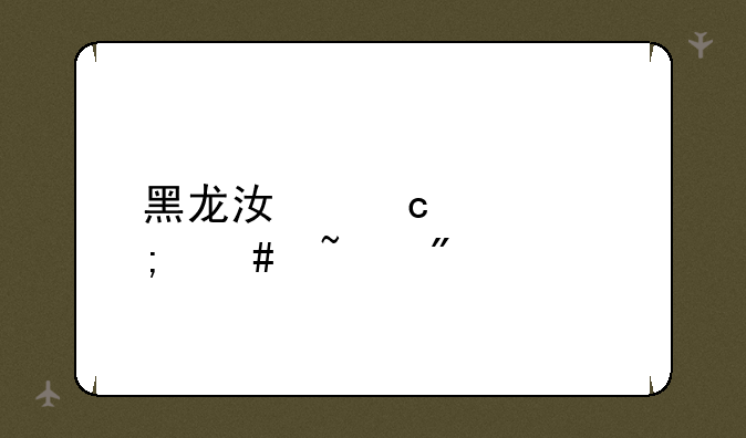 黑龙江高考怎么查分