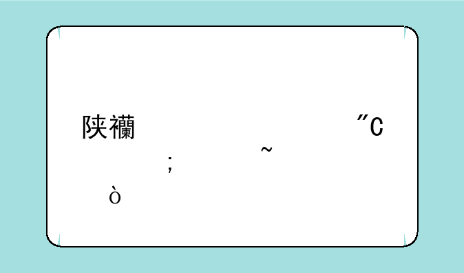 陕西自考成绩怎样查询？