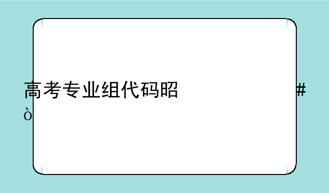 高考专业组代码是什么？