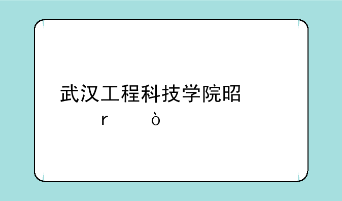 武汉工程科技学院是几本？