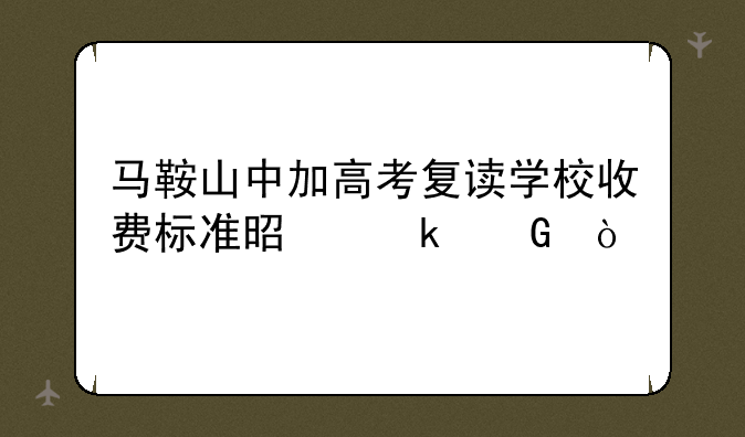 马鞍山中加高考复读学校收费标准是多少？