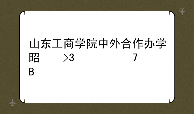 山东工商学院中外合作办学是双学位吗