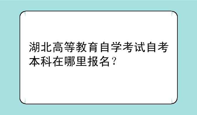 湖北高等教育自学考试自考本科在哪里报名？